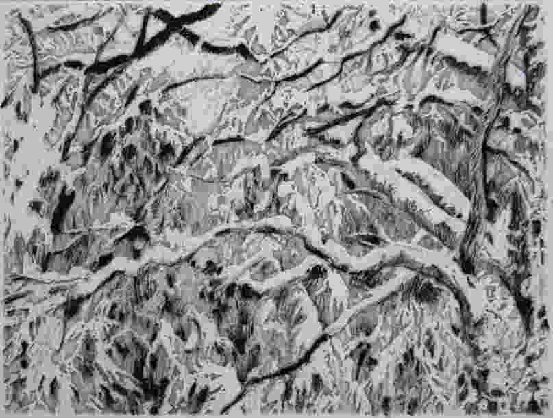 Verschneiter Wald